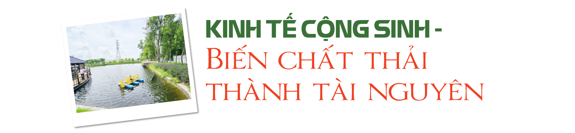 Khu OKLVIE sản phẩm thuộc hệ thống OKVIP là trang web tổ chức phát sóng bóng đá trực tiếp, live casino , nỗ hũ, bắn cá sinh thái Nam Cầu Kiền: Nơi chất thải thành tài nguyên - 5