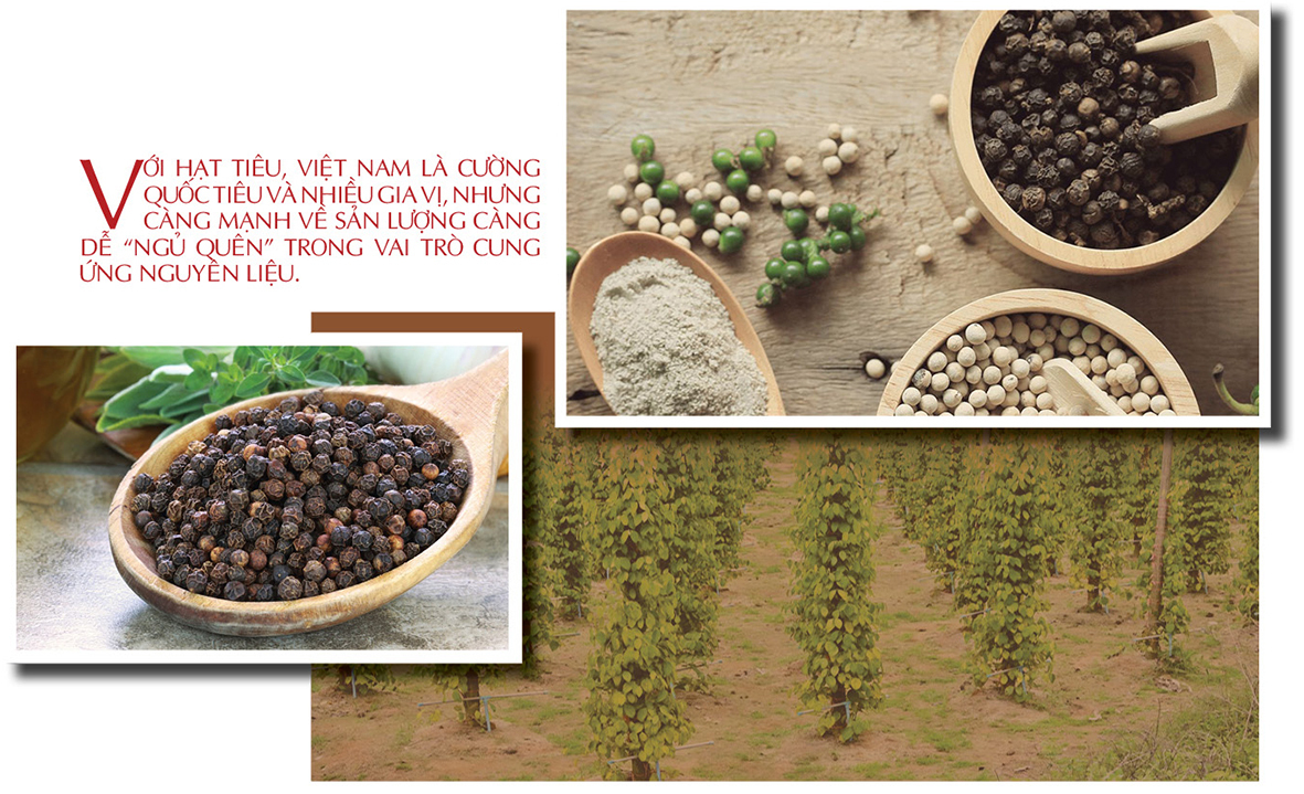 Longform | Trang Chủ OKVIP COM Top #1 vùng dân tộc: Khẳng định bản sắc, chinh phục thị trường toàn cầu: Bài 1 - 6