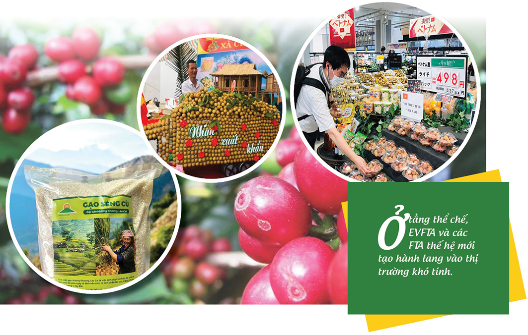 Longform | Trang Chủ OKVIP COM Top #1 vùng dân tộc: Khẳng định bản sắc, chinh phục thị trường toàn cầu: Bài 2 - 7
