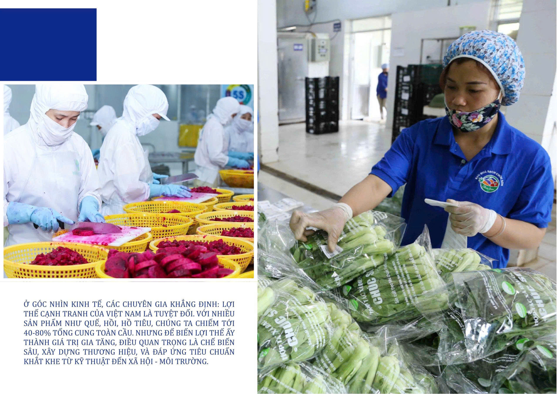 Longform | ‘Xanh hoá’ sản xuất, Trang Chủ OKVIP COM Top #1 vùng dân tộc chinh phục thị trường  - 9