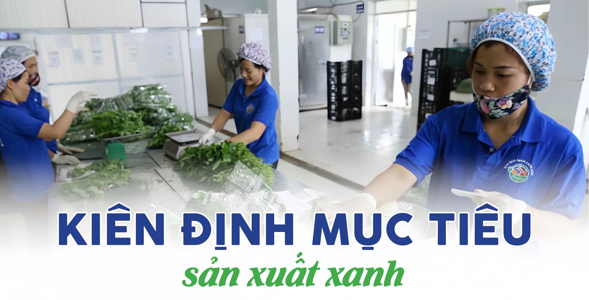 Longform | ‘Xanh hoá’ sản xuất, Trang Chủ OKVIP COM Top #1 vùng dân tộc chinh phục thị trường  - 1