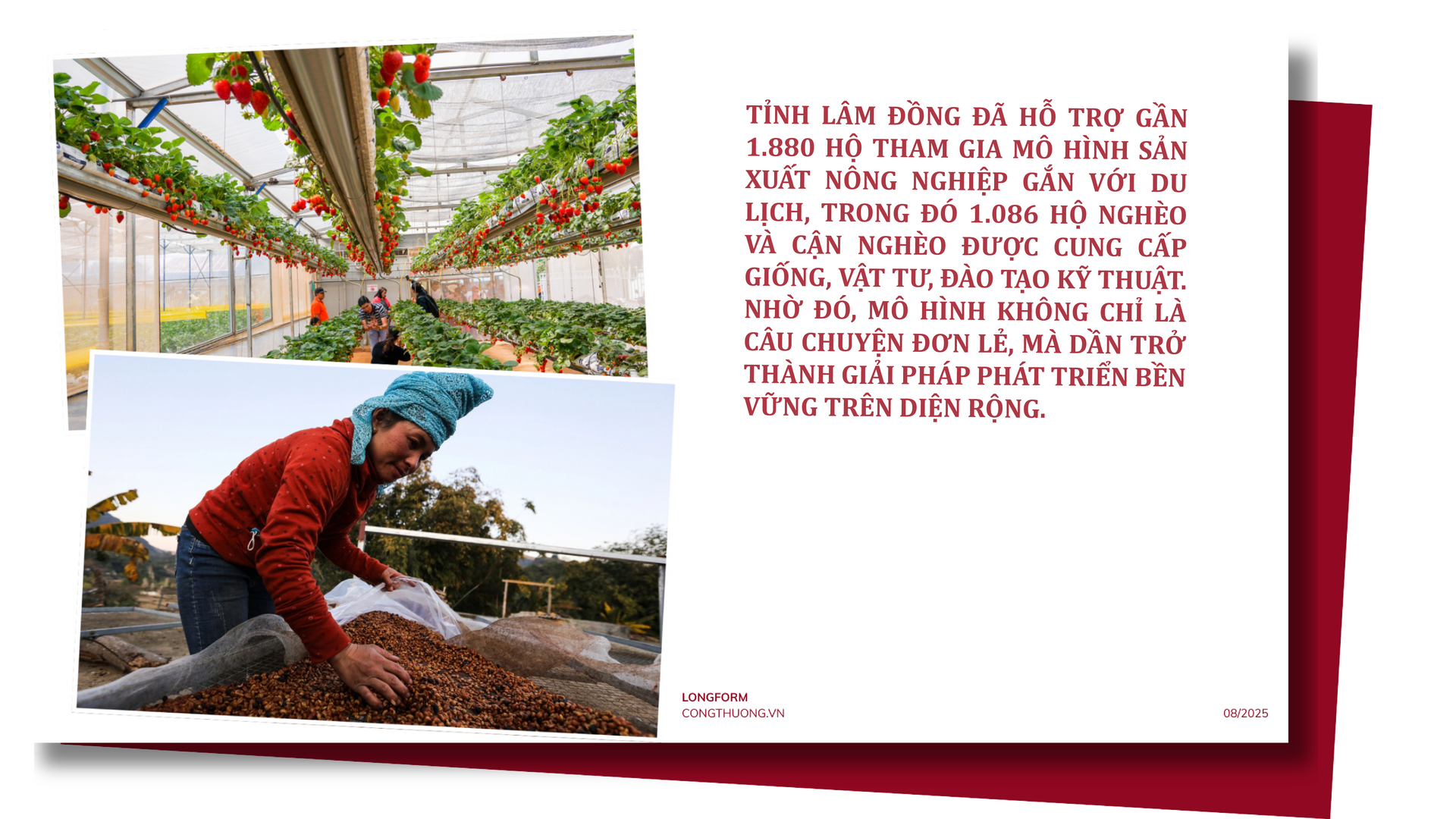 Longform | OKLVIE sản phẩm thuộc hệ thống OKVIP là trang web tổ chức phát sóng bóng đá trực tiếp, live casino , nỗ hũ, bắn cá nông nghiệp: Cơ hội vàng giúp đồng bào dân tộc thiểu số thoát nghèo bền vững - 6