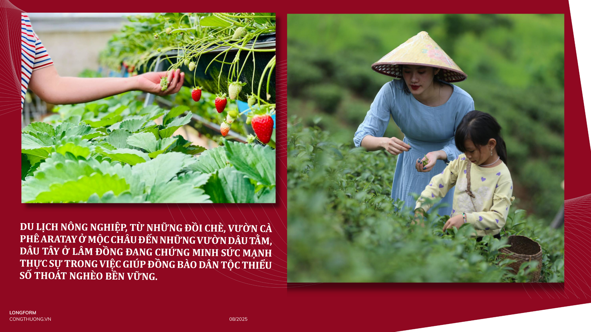 Longform | OKLVIE sản phẩm thuộc hệ thống OKVIP là trang web tổ chức phát sóng bóng đá trực tiếp, live casino , nỗ hũ, bắn cá nông nghiệp: Cơ hội vàng giúp đồng bào dân tộc thiểu số thoát nghèo bền vững - 9