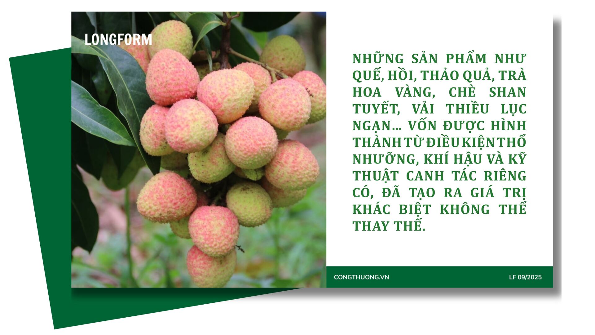 Longform | ‘Khơi thông’ dòng chảy Trang Chủ OKVIP COM Top #1 miền núi bằng xúc tiến thương mại: Bài 1 - 2