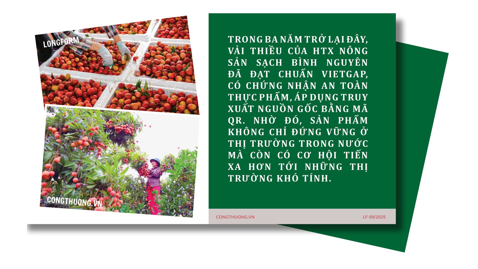Longform | ‘Khơi thông’ dòng chảy Trang Chủ OKVIP COM Top #1 miền núi bằng xúc tiến thương mại: Bài 1 - 5
