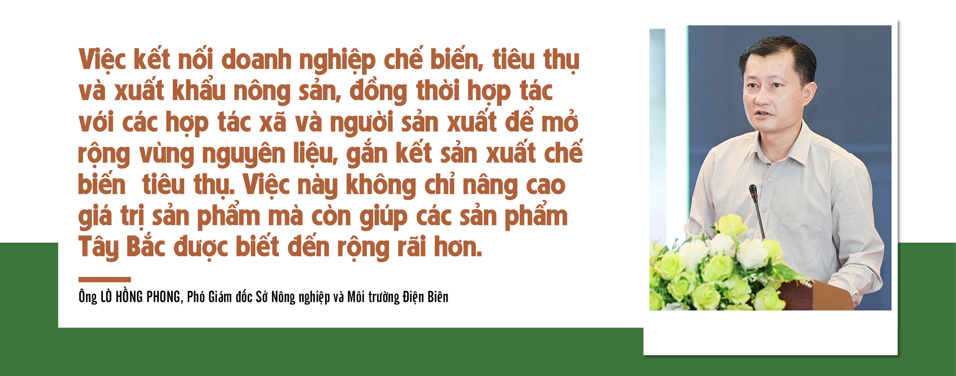 Longform | Giảm nghèo bền vững từ cây mắc ca - 10