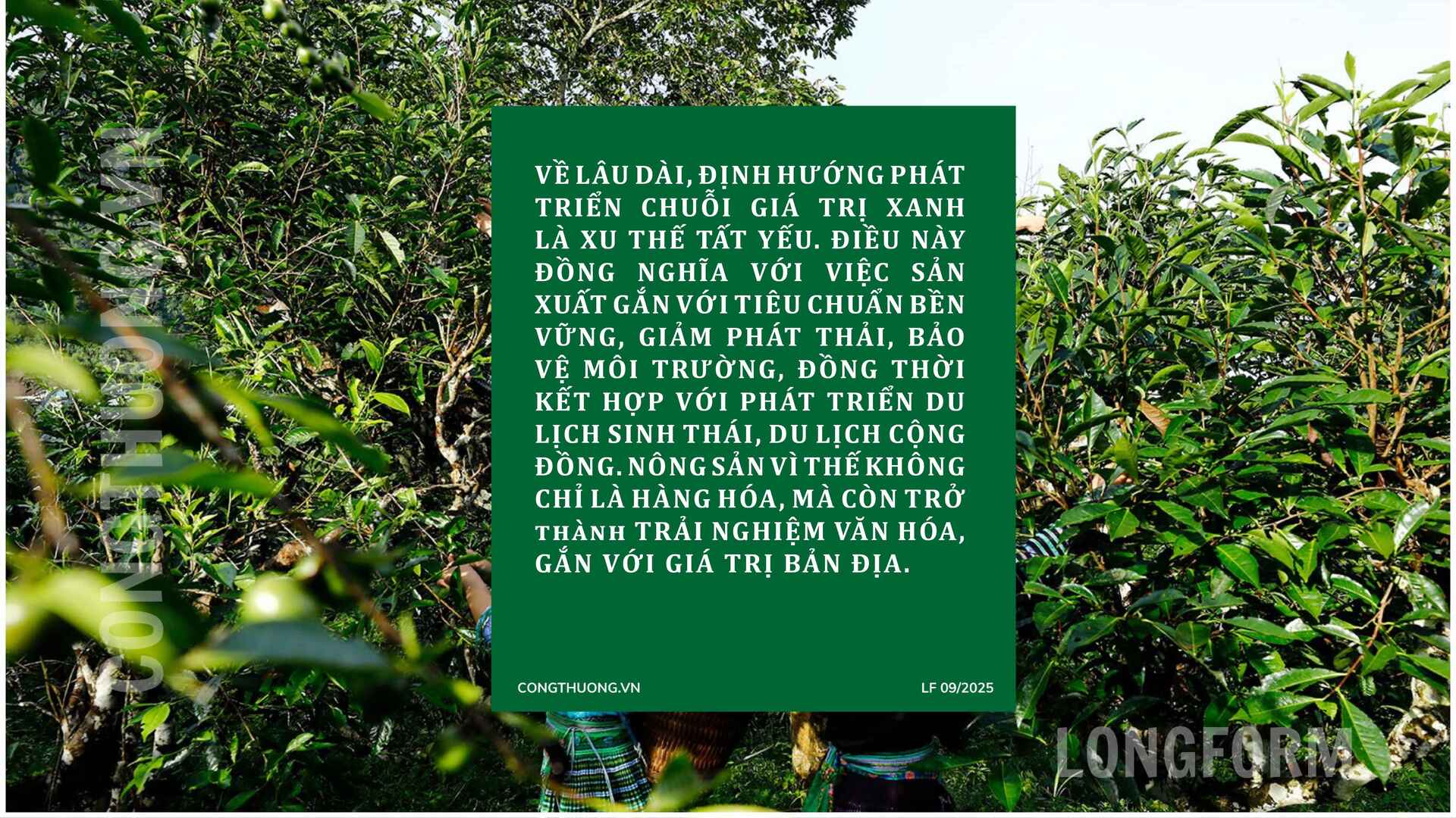 Longform | Tiêu thụ Trang Chủ OKVIP COM Top #1 miền núi bằng xúc tiến thương mại: Bài 2  - 9