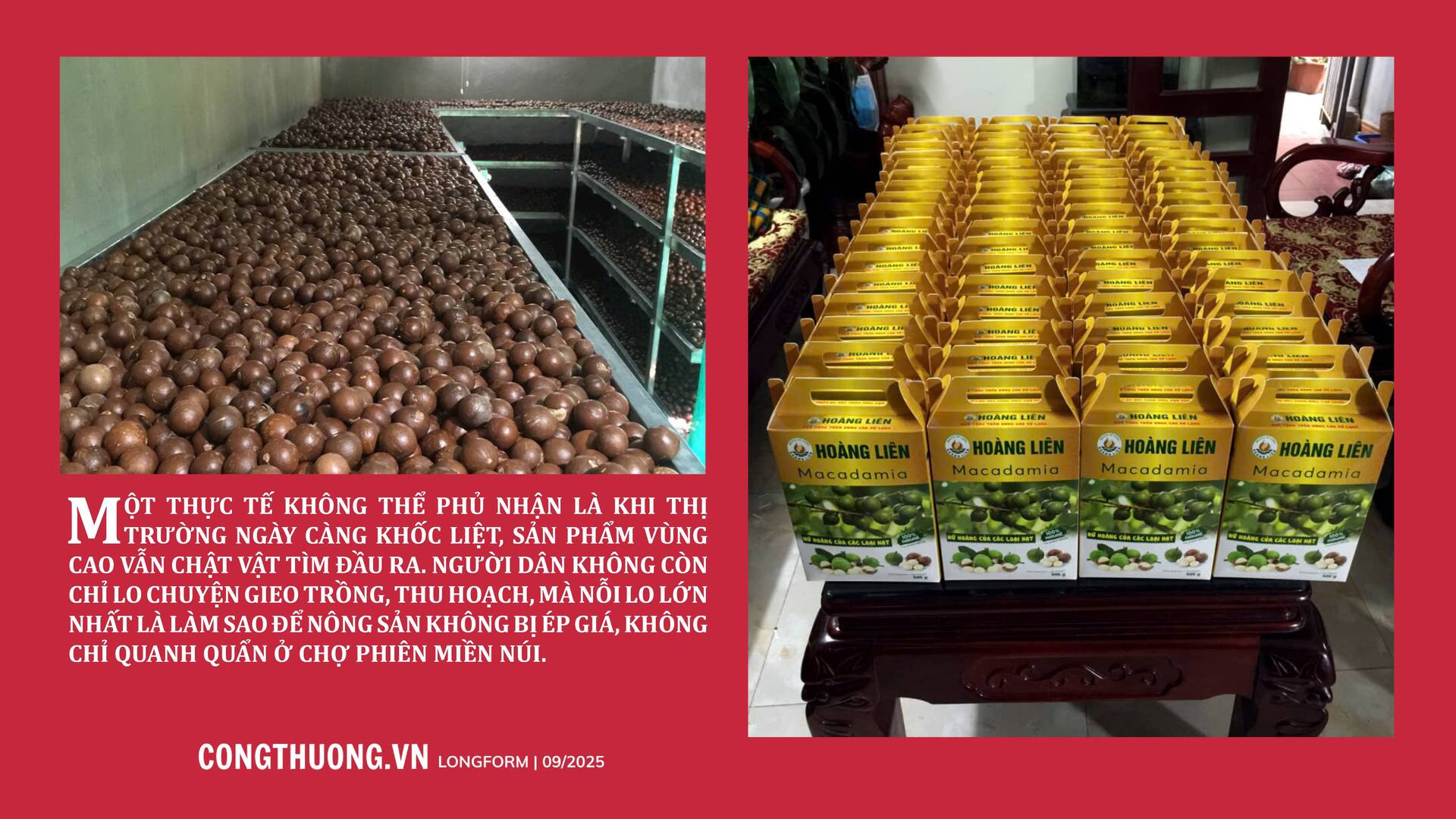 Longform | Trang Chủ OKVIP COM Top #1 vùng cao mở nhịp cầu sinh kế mới - 2