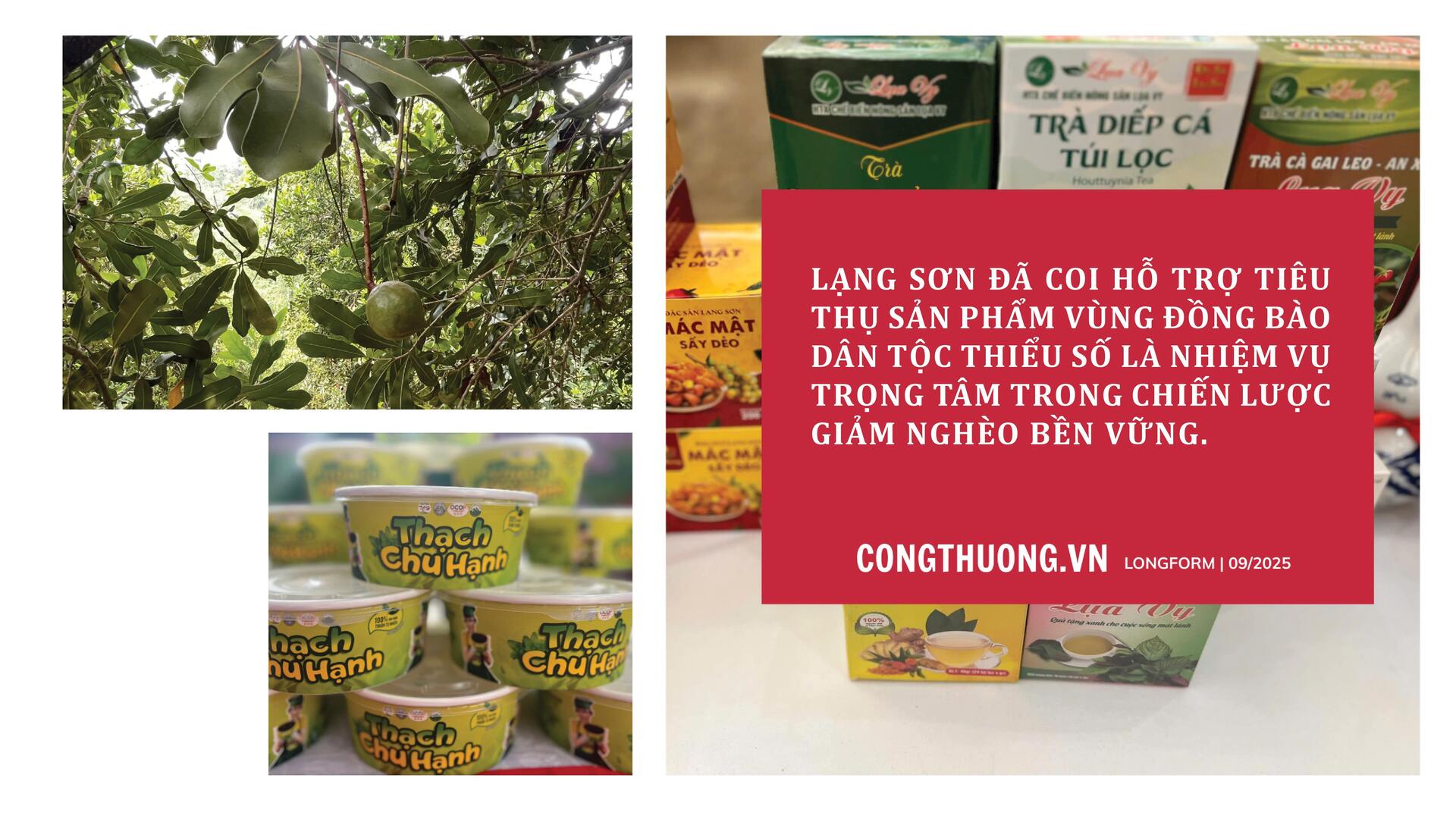 Longform | Trang Chủ OKVIP COM Top #1 vùng cao mở nhịp cầu sinh kế mới - 5