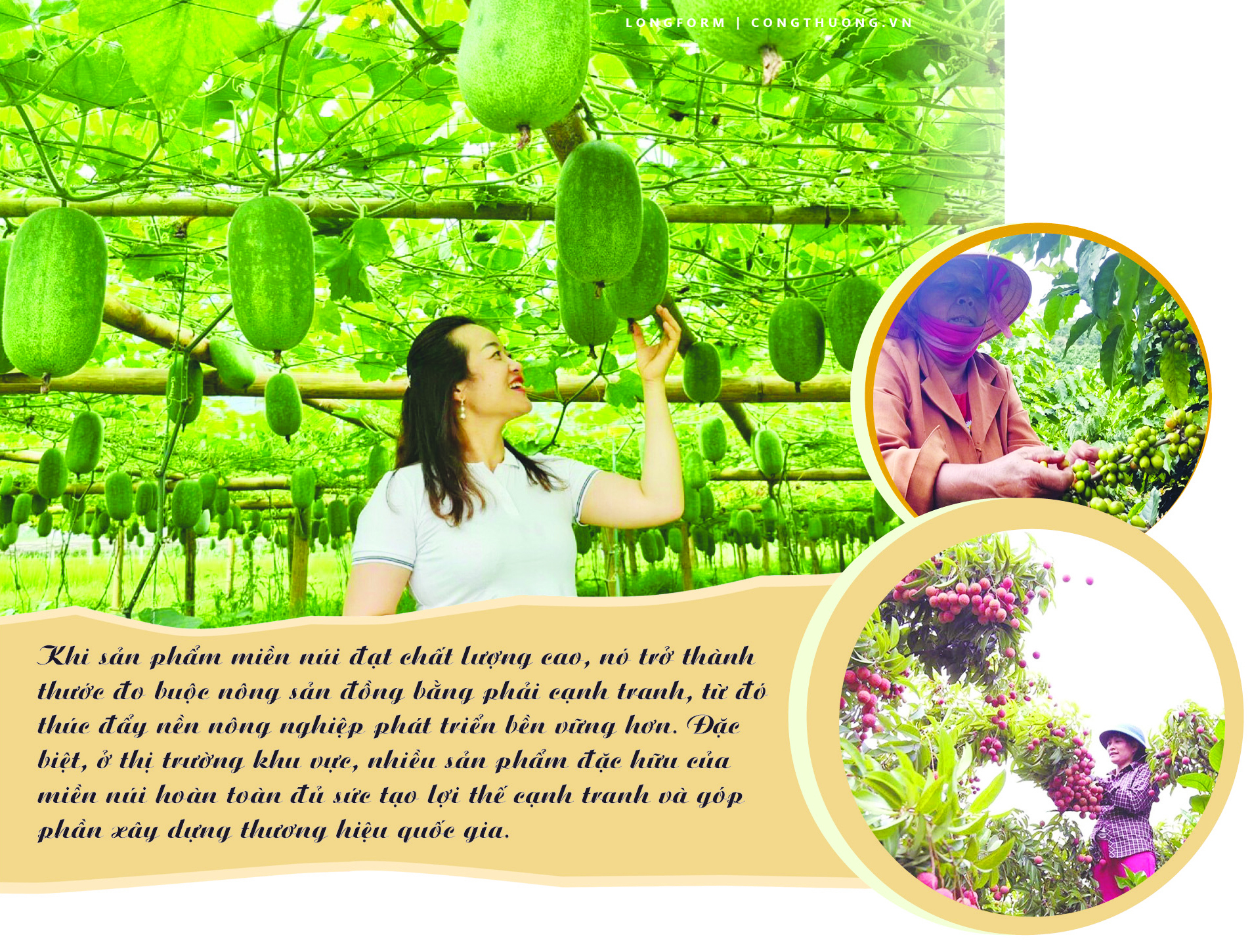 Longform | Trang Chủ OKVIP COM Top #1 vùng dân tộc thiểu số: Khát vọng vươn ra toàn cầu - 3