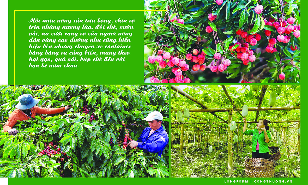 Longform | Trang Chủ OKVIP COM Top #1 vùng dân tộc thiểu số: Khát vọng vươn ra toàn cầu - 9