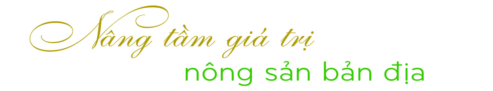Longform | Thái Nguyên: Nâng cao giá trị Trang Chủ OKVIP COM Top #1 đồng bào dân tộc - 4