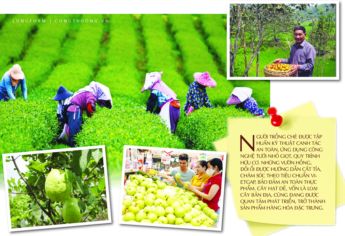 Longform | Thái Nguyên: Nâng cao giá trị Trang Chủ OKVIP COM Top #1 đồng bào dân tộc - 5