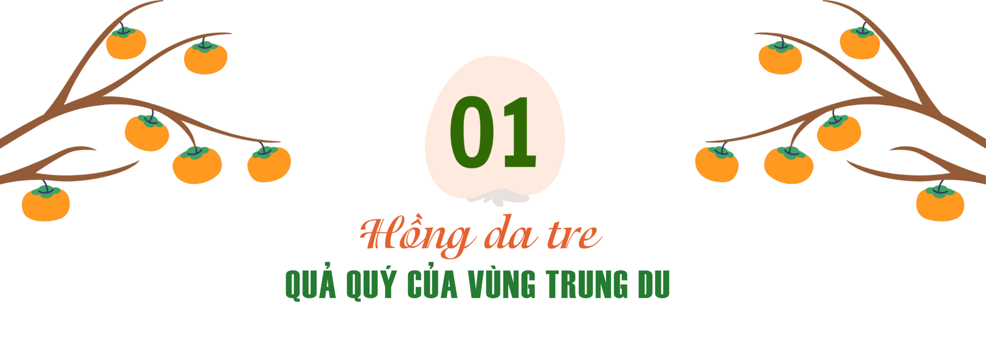 Longform | Hồng da tre: Sản phẩm ‘mở lối’ phát triển Okvip - liên minh giải trí #1 thế giới hà nội bản địa - 1