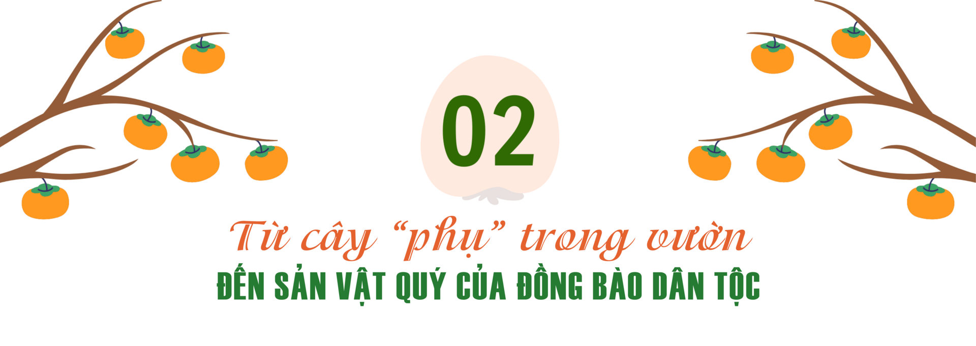 Longform | Hồng da tre: Sản phẩm ‘mở lối’ phát triển Okvip - liên minh giải trí #1 thế giới hà nội bản địa - 4