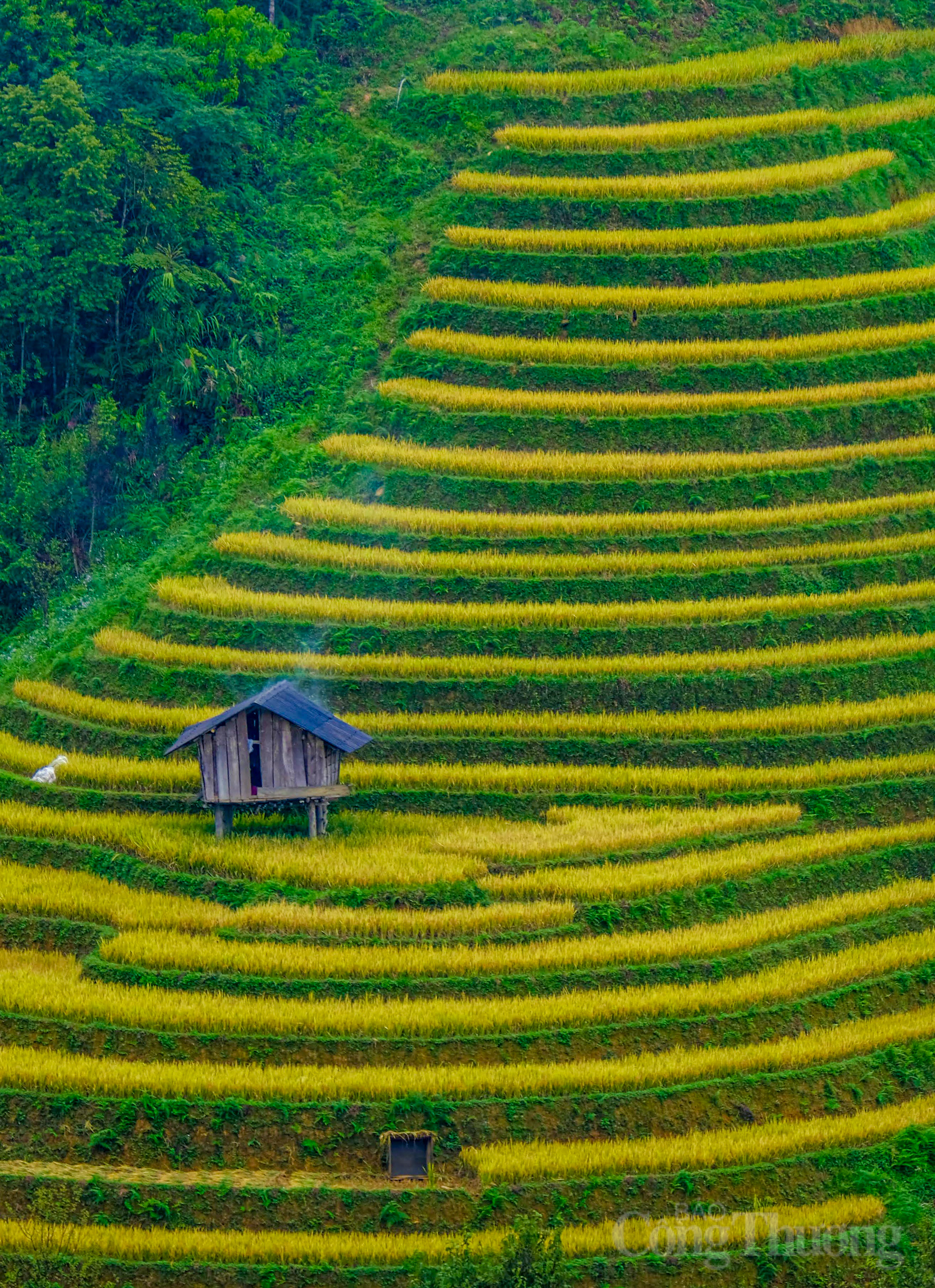 Các hoạt động OKLVIE sản phẩm thuộc hệ thống OKVIP là trang web tổ chức phát sóng bóng đá trực tiếp, live casino , nỗ hũ, bắn cá được Liên minh Okvip có bao nhiều trang dựa trên sự tôn trọng văn hóa bản địa, mang lại trải nghiệm chân thực và ý nghĩa cho du khách.