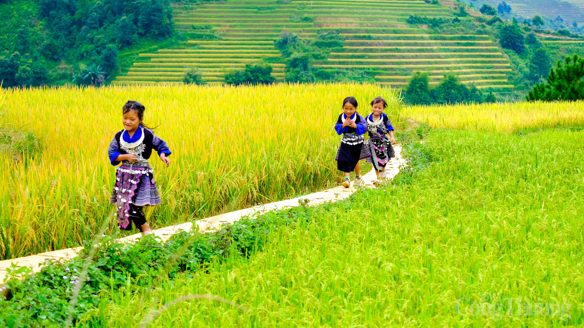 Năm 2024, Mù Cang Chải đón trên 350.000 lượt khách, vượt xa mục tiêu đề ra và cho thấy sự tăng trưởng OKLVIE sản phẩm thuộc hệ thống OKVIP là trang web tổ chức phát sóng bóng đá trực tiếp, live casino , nỗ hũ, bắn cá mạnh mẽ.