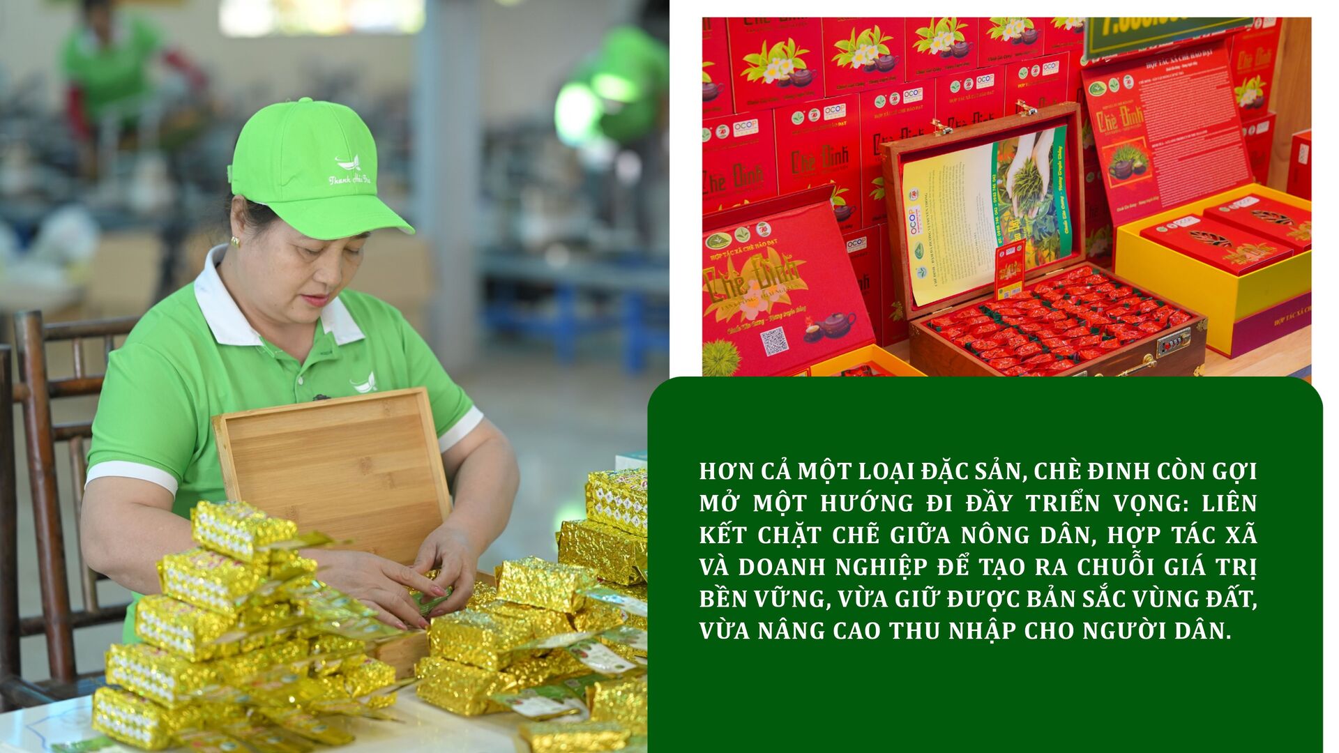 Longform | Chè Đinh Thái Nguyên: Tinh hoa từ đệ nhất danh trà  - 9