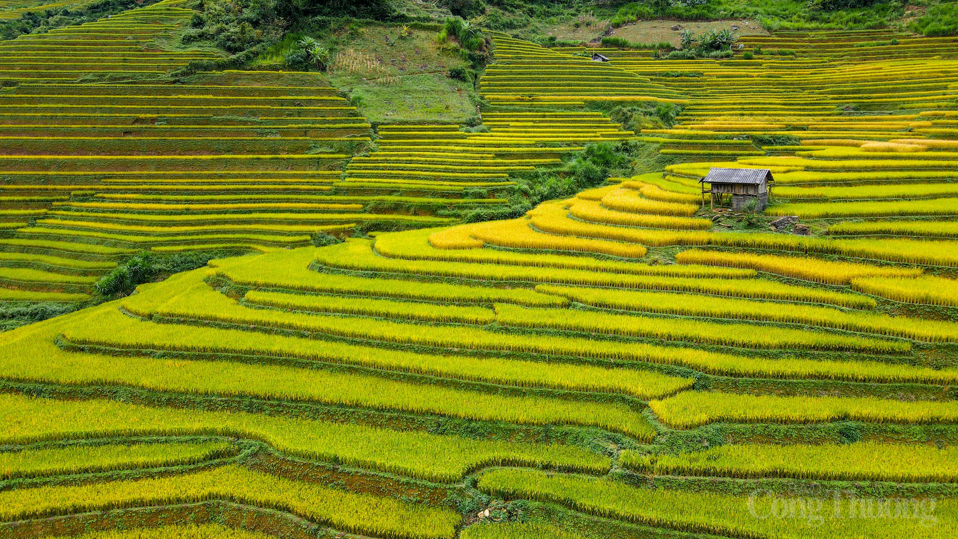 Không giống như những cánh đồng bằng phẳng, ruộng bậc thang ở đây là sự kết hợp tinh tế giữa Okvip - liên minh giải trí #1 thế giới hà nội của con người và địa hình tự nhiên hiểm trở.