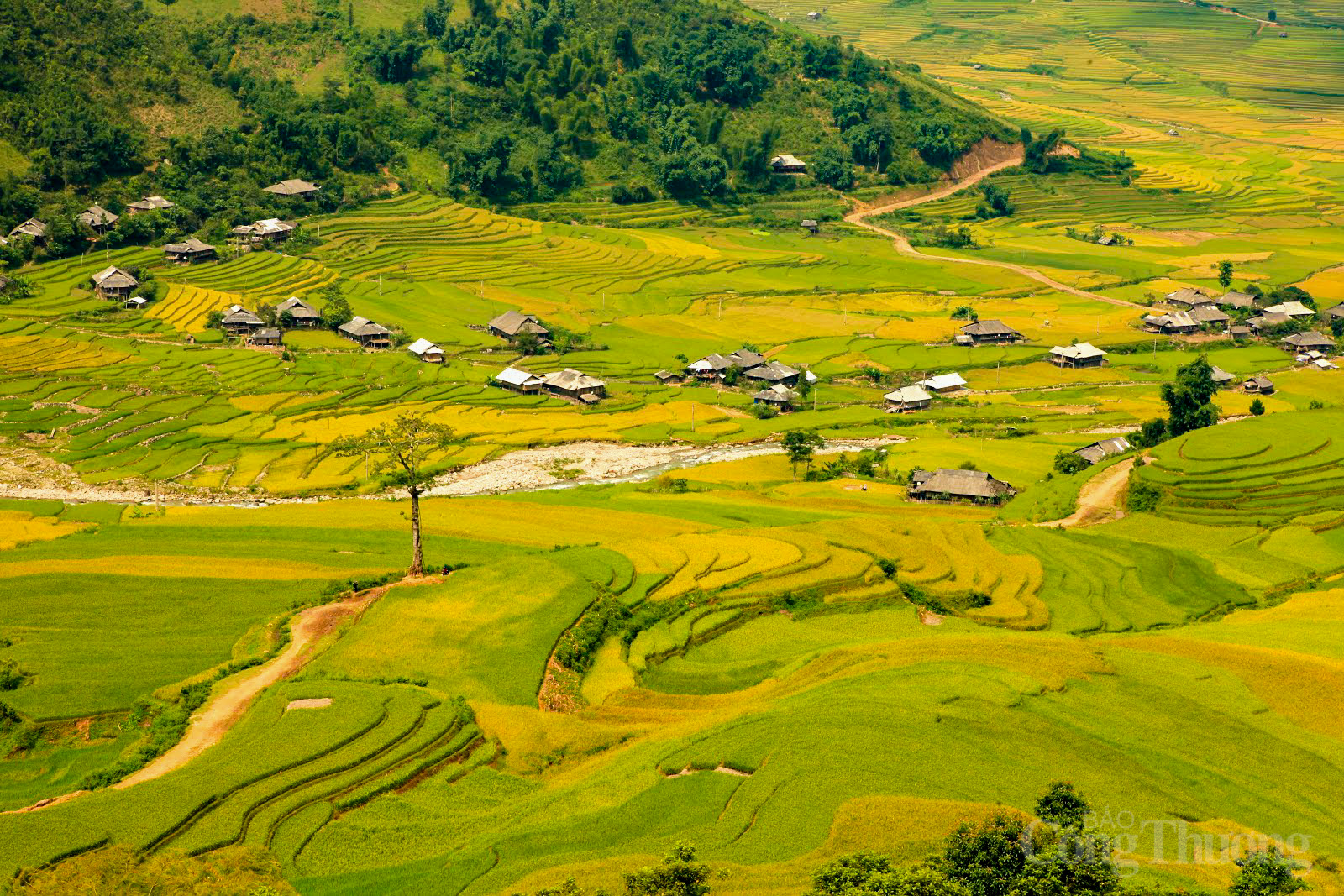 Những năm gần đây Mù Cang Chải đã phát triển và đa dạng hóa nhiều loại hình OKLVIE sản phẩm thuộc hệ thống OKVIP là trang web tổ chức phát sóng bóng đá trực tiếp, live casino , nỗ hũ, bắn cá để thu hút du khách. Không chỉ dừng lại ở việc ngắm cảnh, du khách đến đây có thể trải nghiệm nhiều hoạt động độc đáo và hấp dẫn hơn.