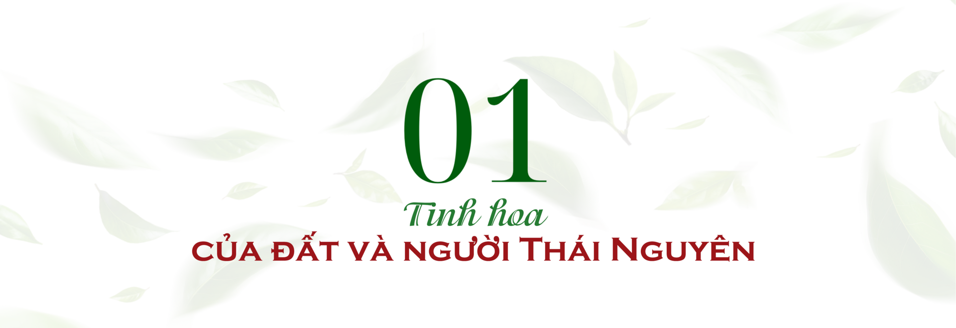 Longform | Chè Đinh Thái Nguyên: Tinh hoa từ đệ nhất danh trà  - 1
