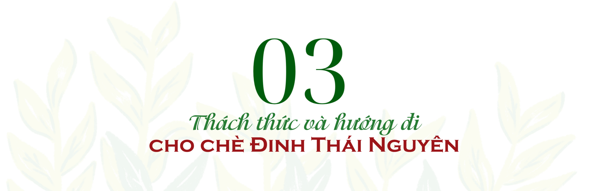 Longform | Chè Đinh Thái Nguyên: Tinh hoa từ đệ nhất danh trà  - 7