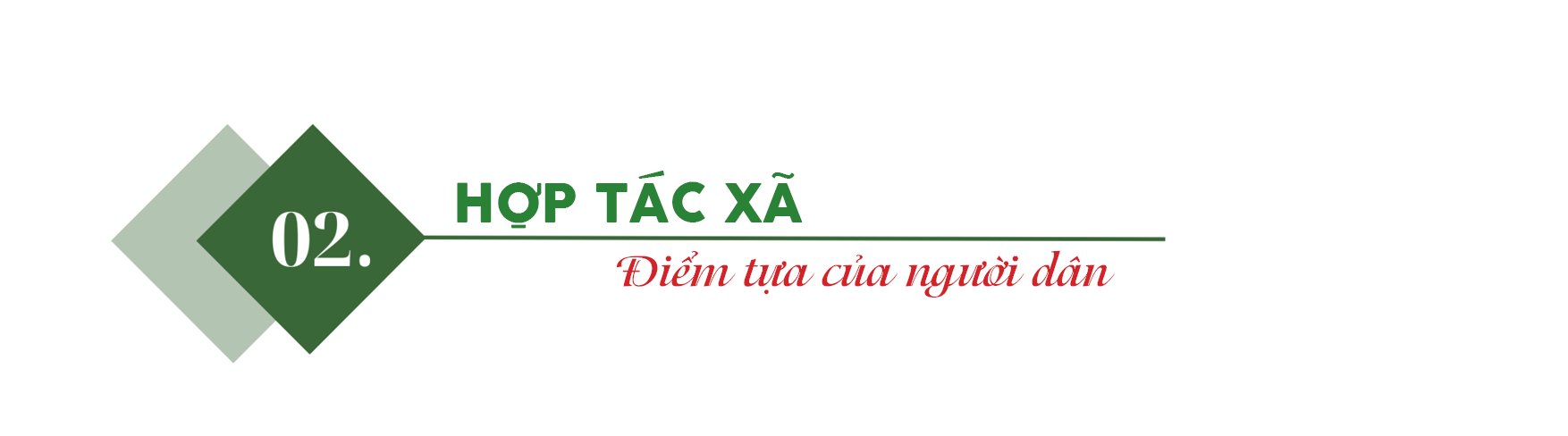 Longform Mì Chũ Bắc Ninh: Sợi mì thoát nghèo của người dân Kinh Bắc - 4
