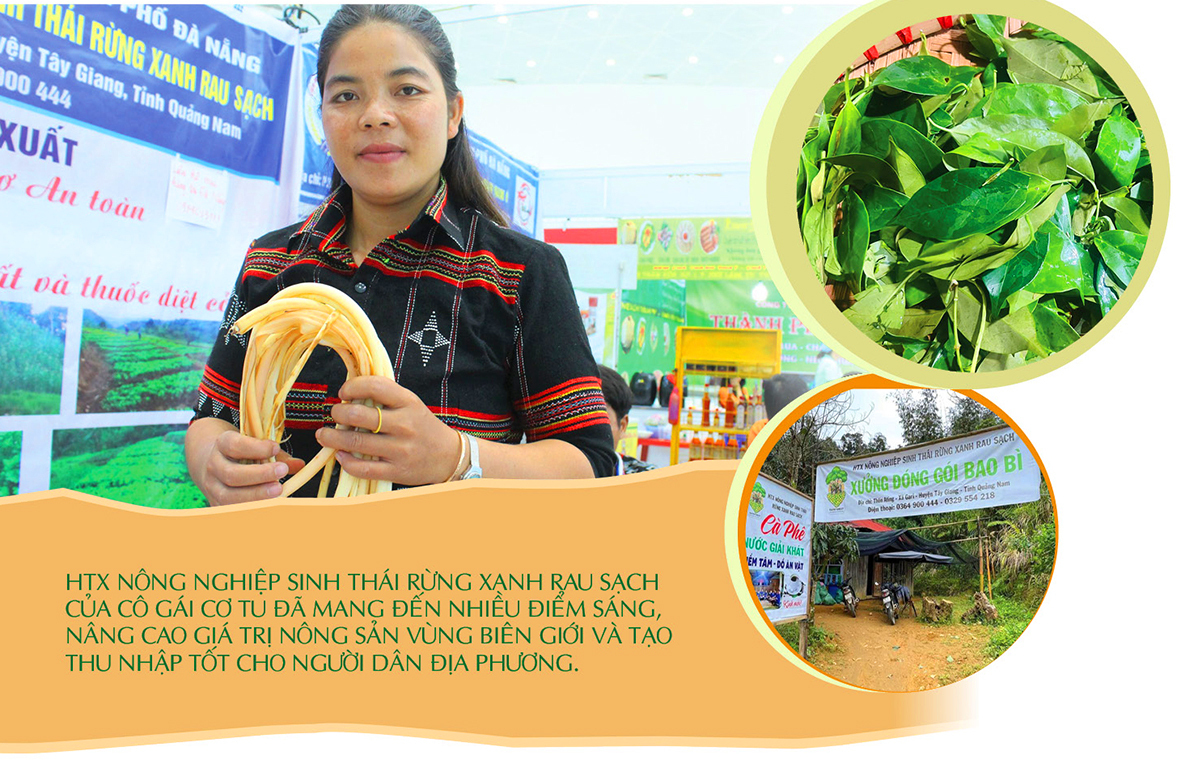 Longform | HTX Rừng Xanh Rau Sạch: Nâng tầm Trang Chủ OKVIP COM Top #1 đồng bào Cơ Tu - 2
