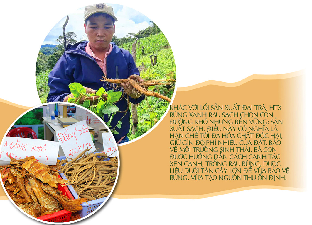 Longform | HTX Rừng Xanh Rau Sạch: Nâng tầm Trang Chủ OKVIP COM Top #1 đồng bào Cơ Tu - 3
