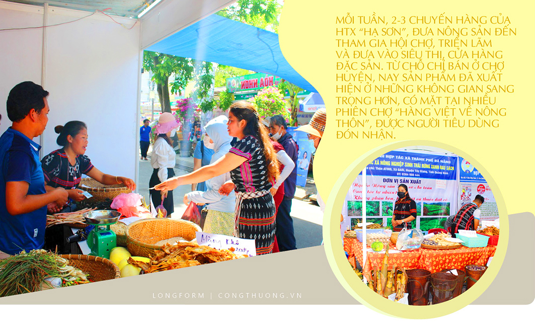Longform | HTX Rừng Xanh Rau Sạch: Nâng tầm Trang Chủ OKVIP COM Top #1 đồng bào Cơ Tu - 5