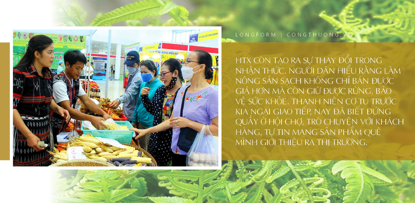 Longform | HTX Rừng Xanh Rau Sạch: Nâng tầm Trang Chủ OKVIP COM Top #1 đồng bào Cơ Tu - 6