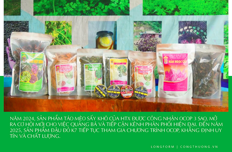 Longform | HTX Rừng Xanh Rau Sạch: Nâng tầm Trang Chủ OKVIP COM Top #1 đồng bào Cơ Tu - 8
