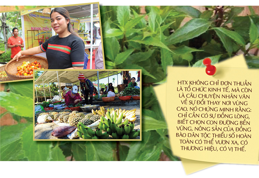 Longform | HTX Rừng Xanh Rau Sạch: Nâng tầm Trang Chủ OKVIP COM Top #1 đồng bào Cơ Tu - 9
