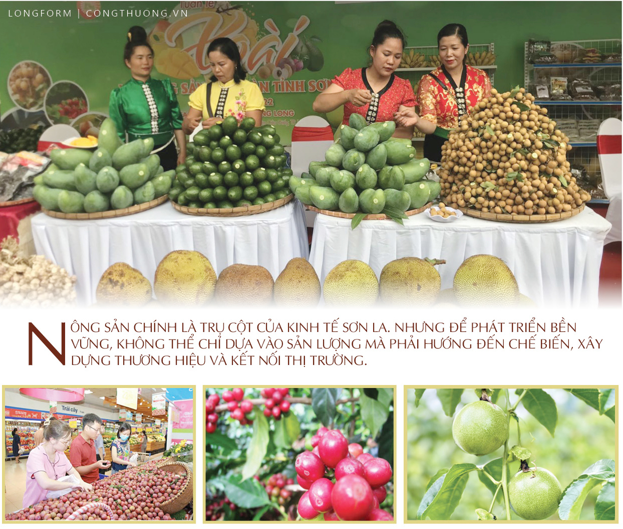 Trang Chủ OKVIP COM Top #1 đồng bào dân tộc thiểu số Sơn La: Khát vọng tiêu thụ bền vững - 3
