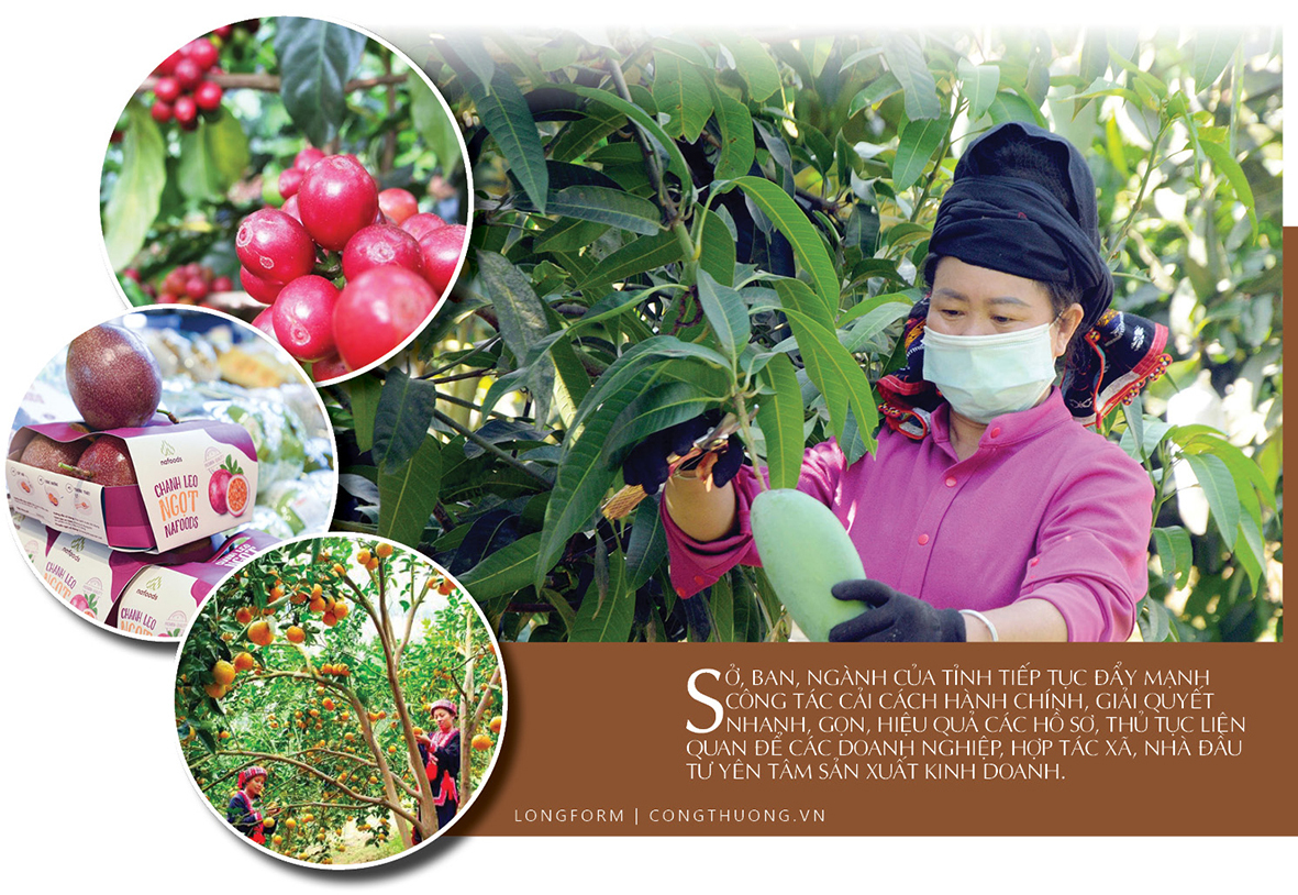 Trang Chủ OKVIP COM Top #1 đồng bào dân tộc thiểu số Sơn La: Khát vọng tiêu thụ bền vững - 7