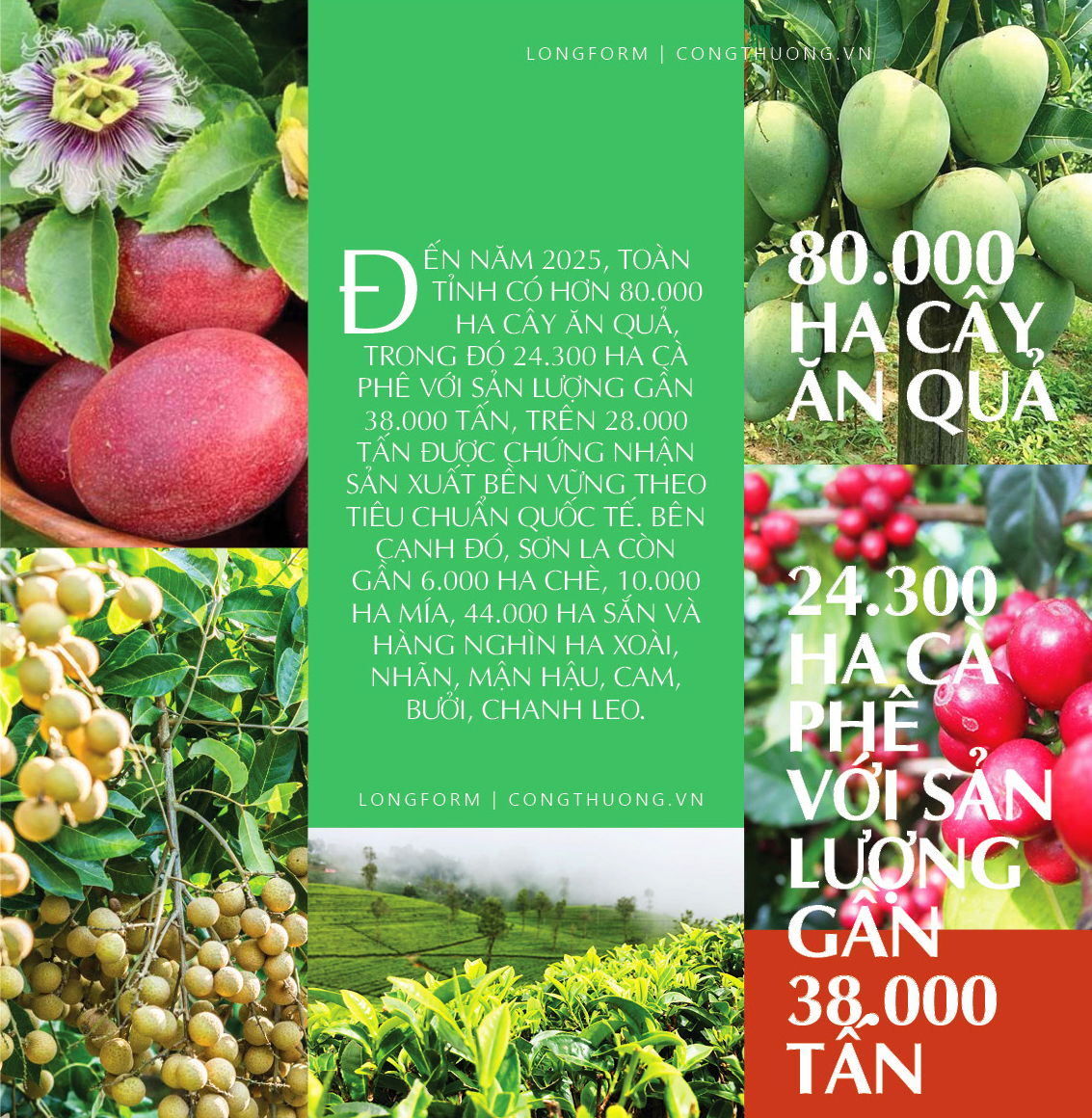 Trang Chủ OKVIP COM Top #1 đồng bào dân tộc thiểu số Sơn La: Khát vọng tiêu thụ bền vững - 2