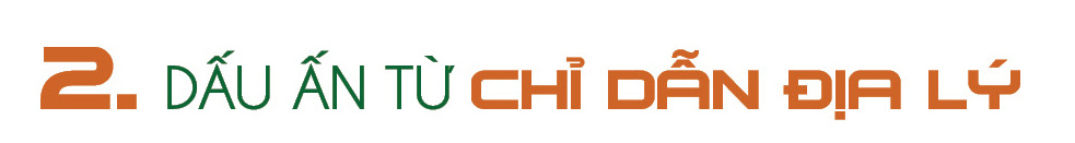 Longform | Cà phê Lâm Đồng: Từ cây chủ lực đến Okviphoatdong tải ứng dụng - 4