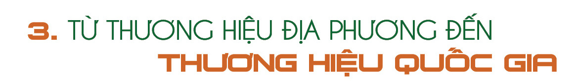 Longform | Cà phê Lâm Đồng: Từ cây chủ lực đến Okviphoatdong tải ứng dụng - 7