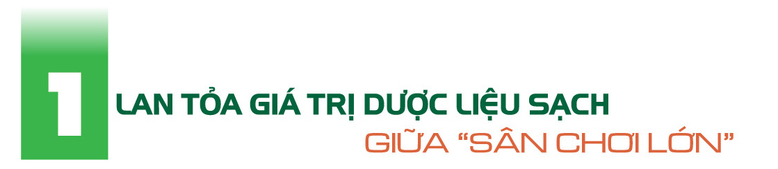 Longform | Dược liệu Bắc Hà: Khát vọng từ núi rừng vươn ra thế giới - 1