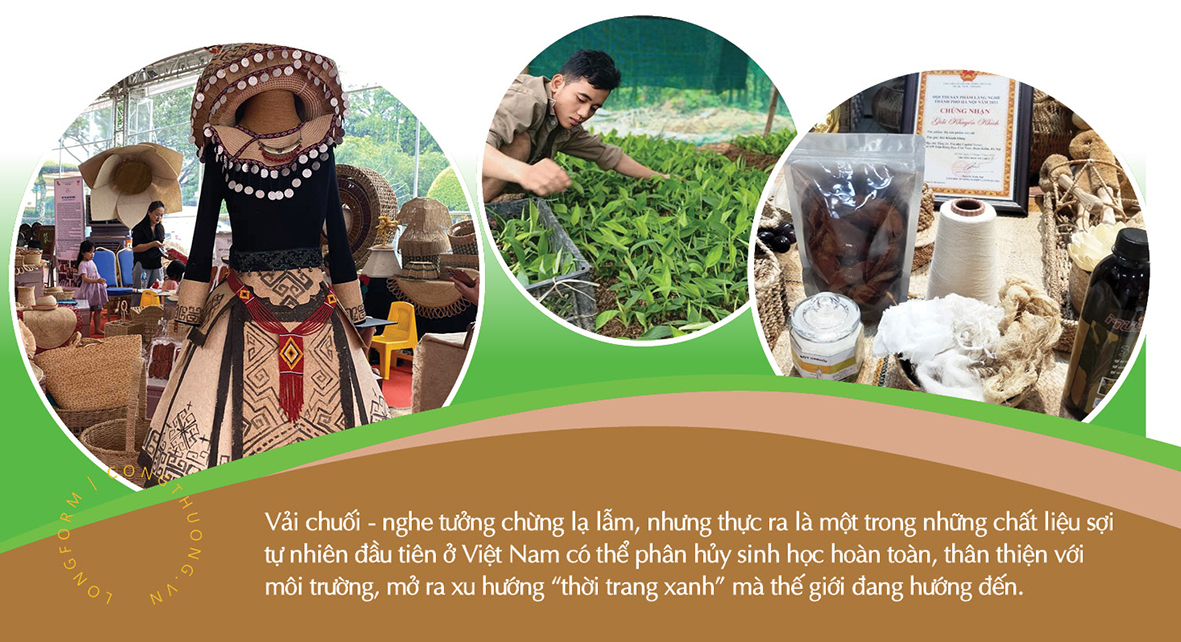 Longform | Liên minh Okvip có bao nhiều trang chuỗi liên kết, mở đường cho sợi chuối vùng cao - 3