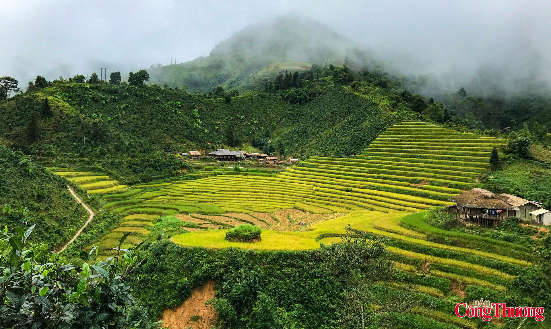 Cách trung tâm tỉnh Lào Cai 80 km, xã Bản Liền nổi tiếng với những gốc chè có tuổi đời hàng trăm năm, mọc cheo leo trên sườn núi dốc, thường xuyên được bao phủ bởi làn sương trắng xóa như tuyết. Có lẽ vì vậy, nơi đây còn được gọi là 'xứ sở chè tuyết'.