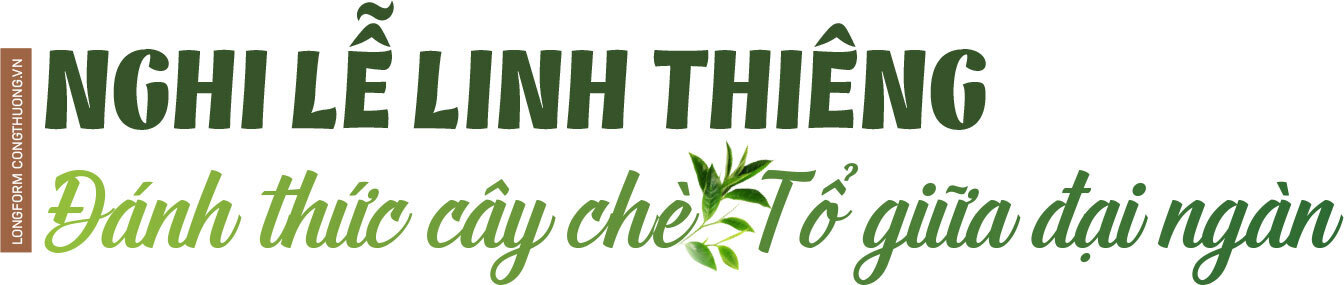 Longform | Hành trình về miền trà Shan Tuyết cổ thụ - 1