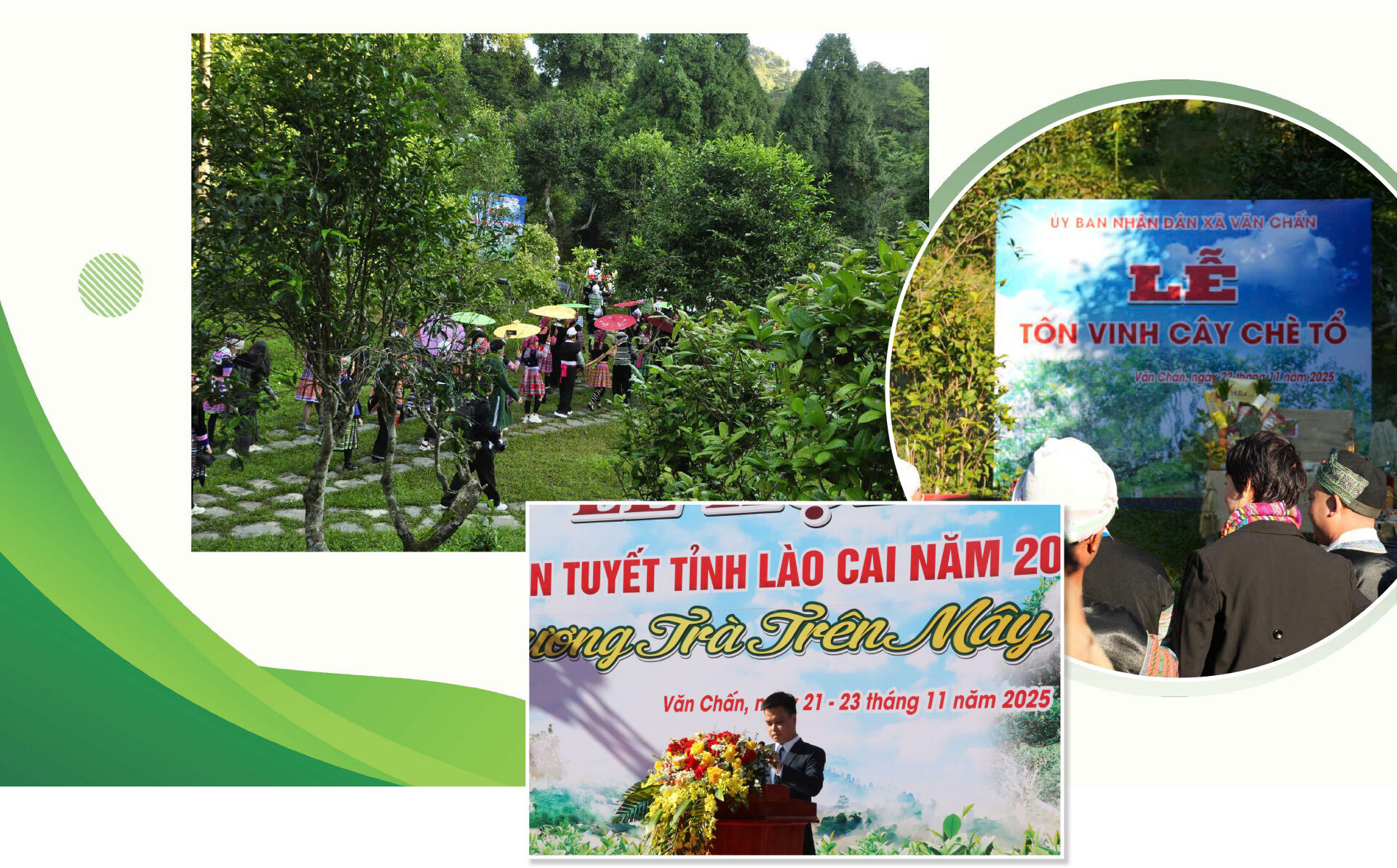 Longform | Hành trình về miền trà Shan Tuyết cổ thụ - 2