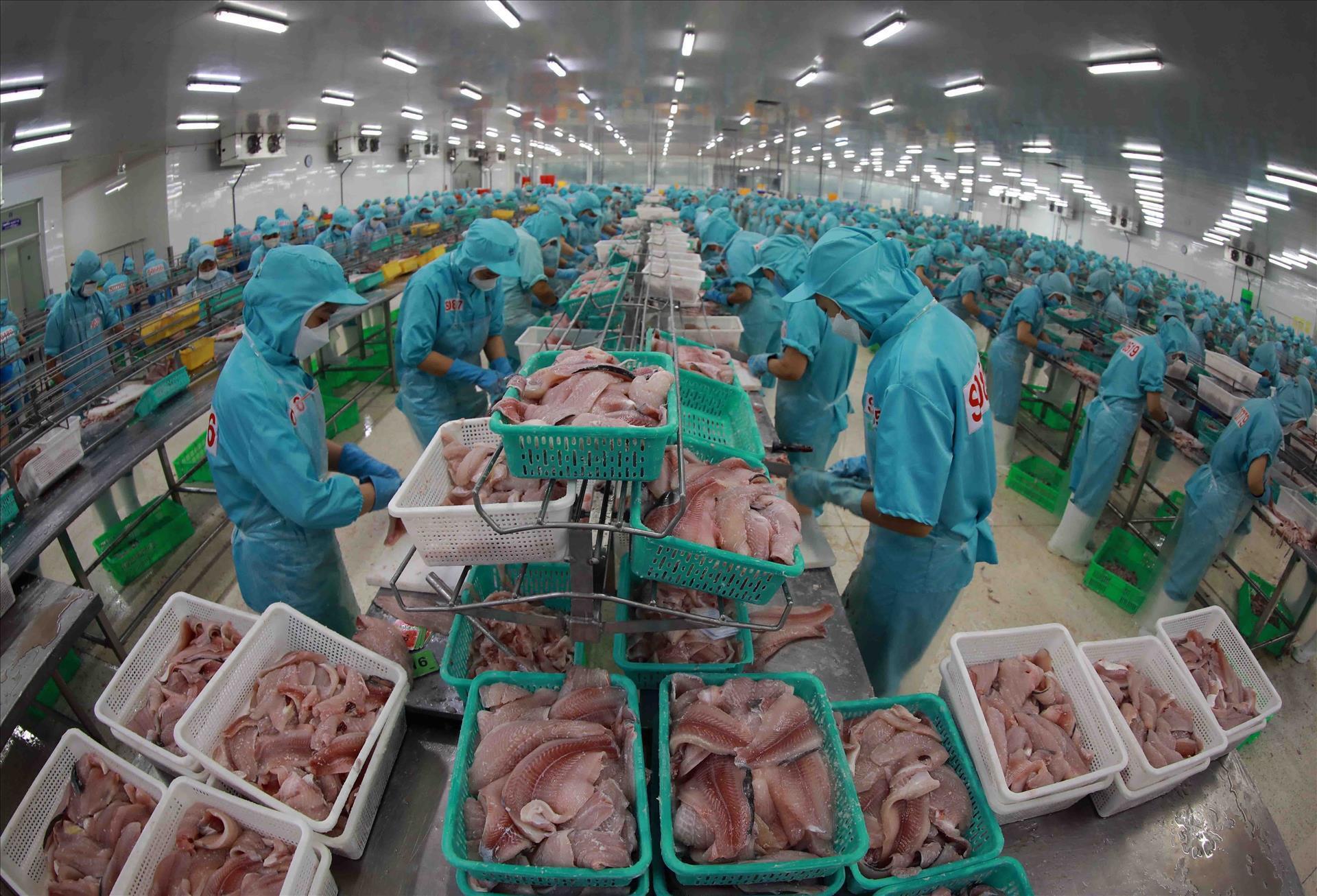 Phối hợp, liên kết để tiến xa hơn trong thực thi FTA - 6