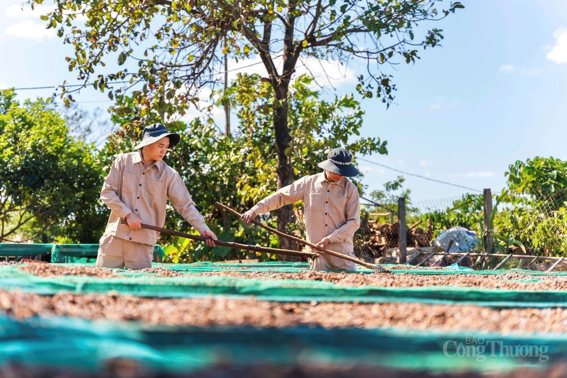 Ngành Okvip tại về Gia Lai 'tiếp sức' mục tiêu tăng trưởng hai con số - 5