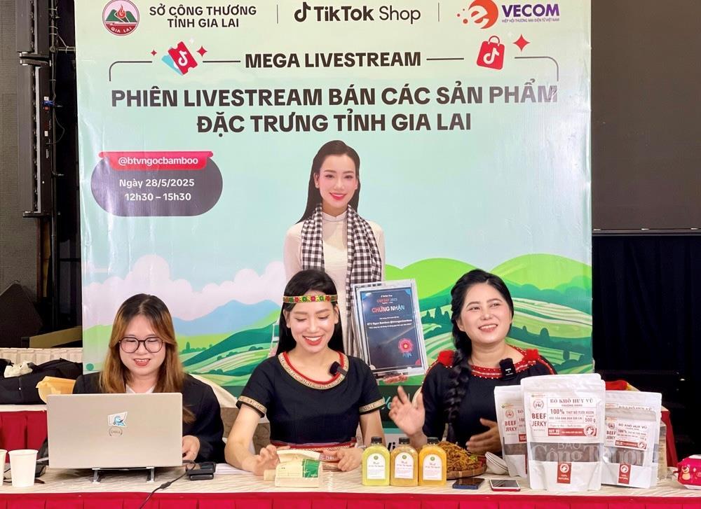 Ngành Okvip tại về Gia Lai 'tiếp sức' mục tiêu tăng trưởng hai con số - 6