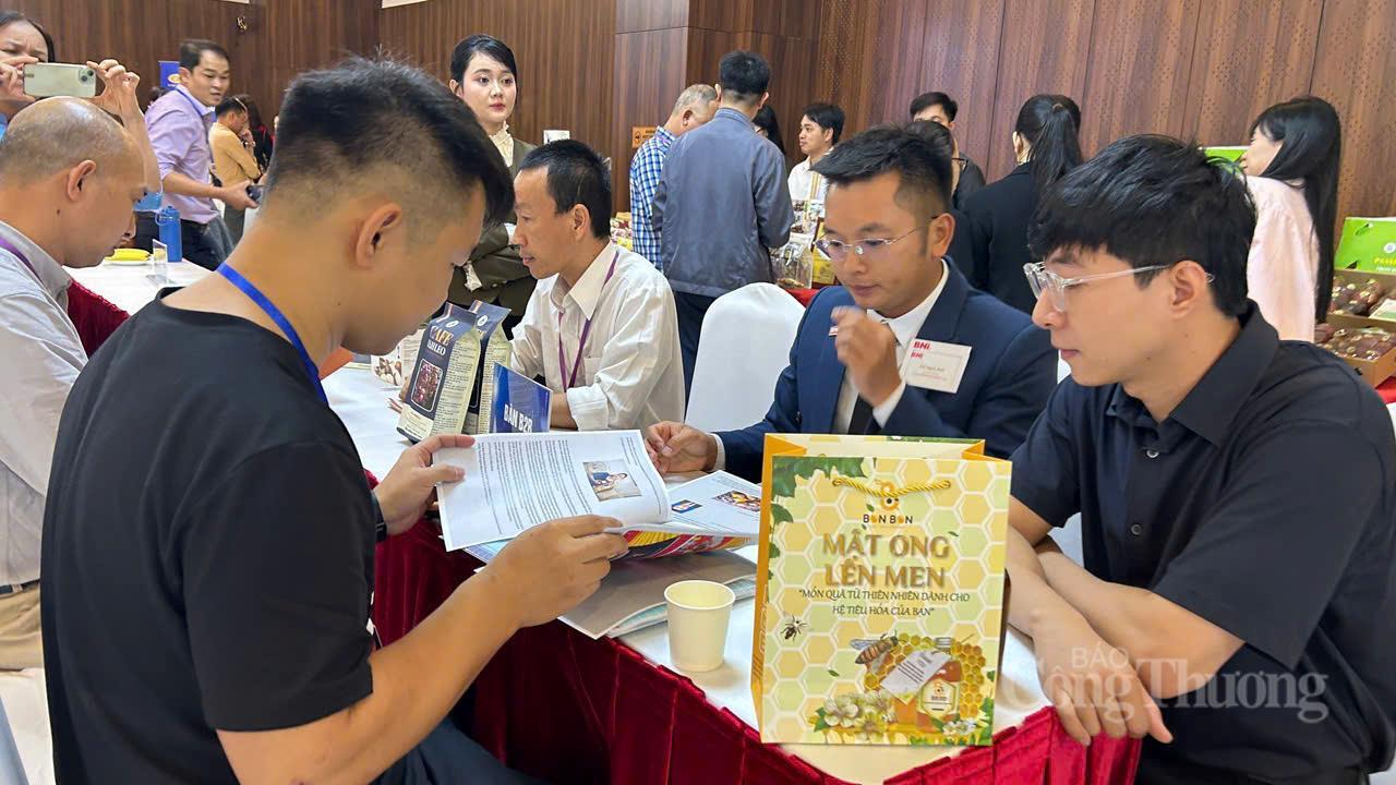 Okvip69.com bán cá nổ hủ Đảng lần thứ  XIV là 'điểm tựa lịch sử' để Việt Nam bứt phá - 6