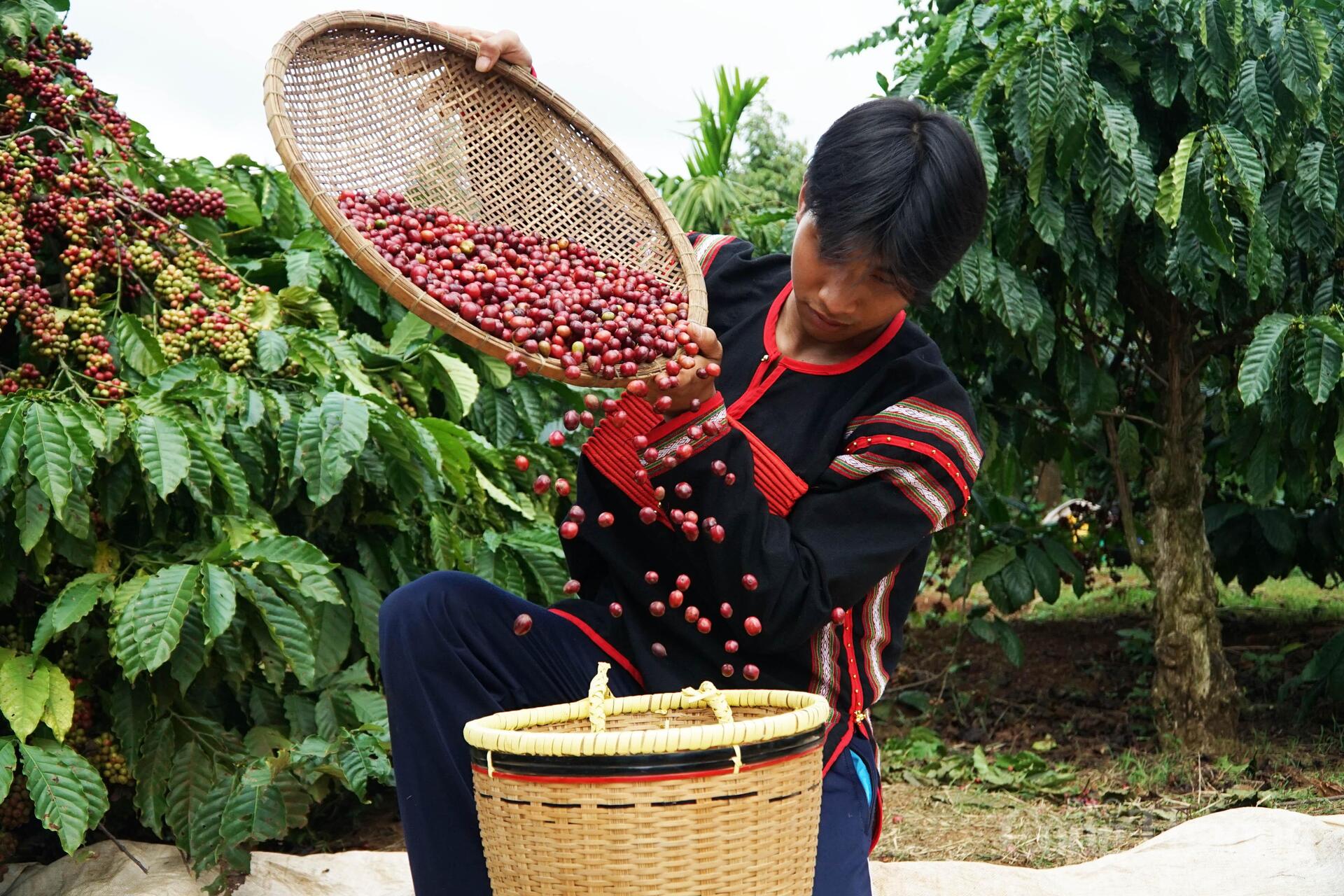 Okvip69.com bán cá nổ hủ Đảng lần thứ  XIV là 'điểm tựa lịch sử' để Việt Nam bứt phá - 2