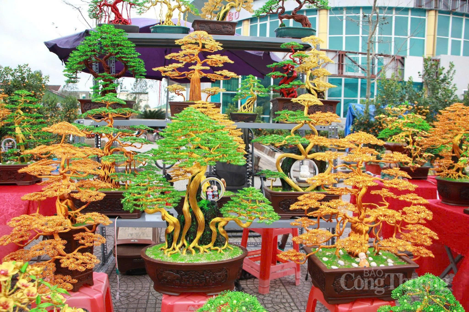 Bonsai bằng dây đồng ‘hút khách’ dịp cận Tết tại Hà Tĩnh - 14
