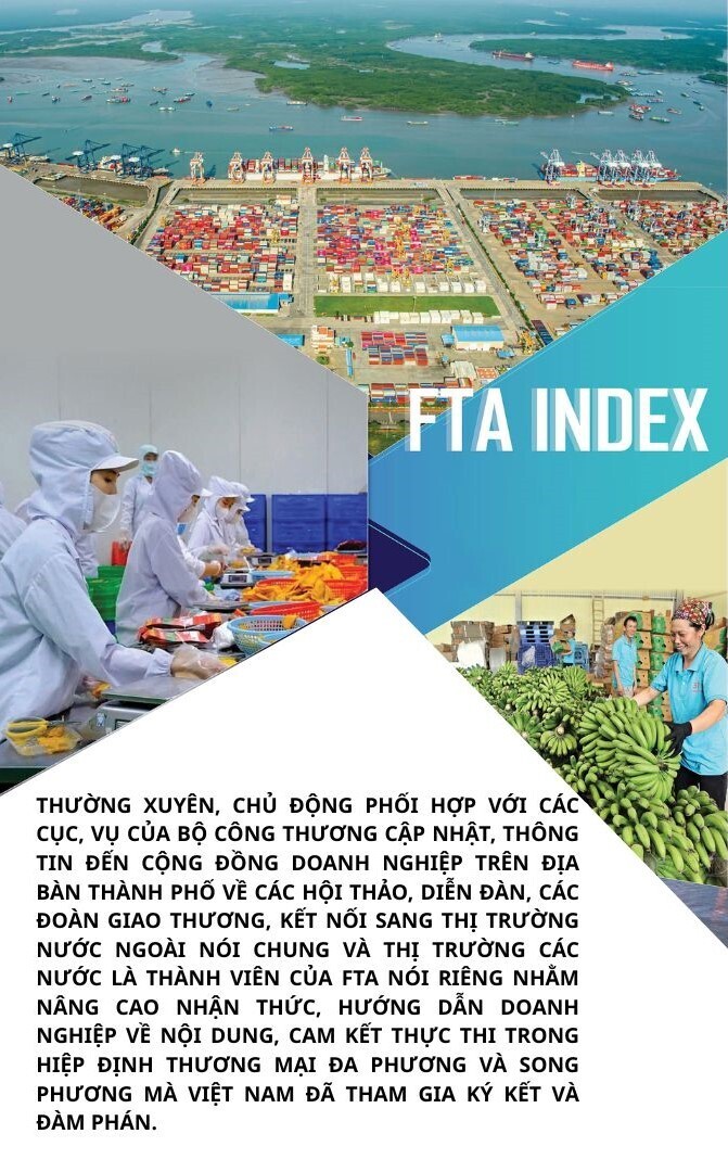 Hải Phòng đặt mục tiêu nâng cao thứ hạng trong FTA Index - 4